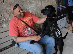 vacation service dog vacation service dog